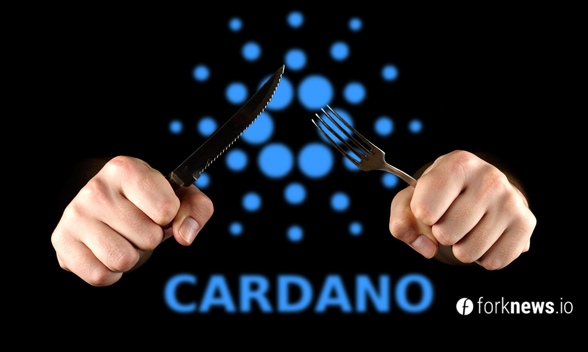 Cardano проведет хард-форк Mary в марте