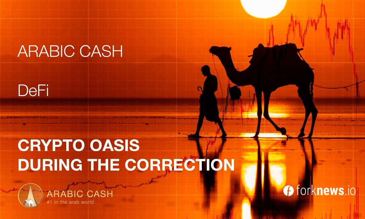 ARABIC CASH — оазис на время коррекции: Почему лучше переждать бурю крипторынка в молодом DeFi проекте?