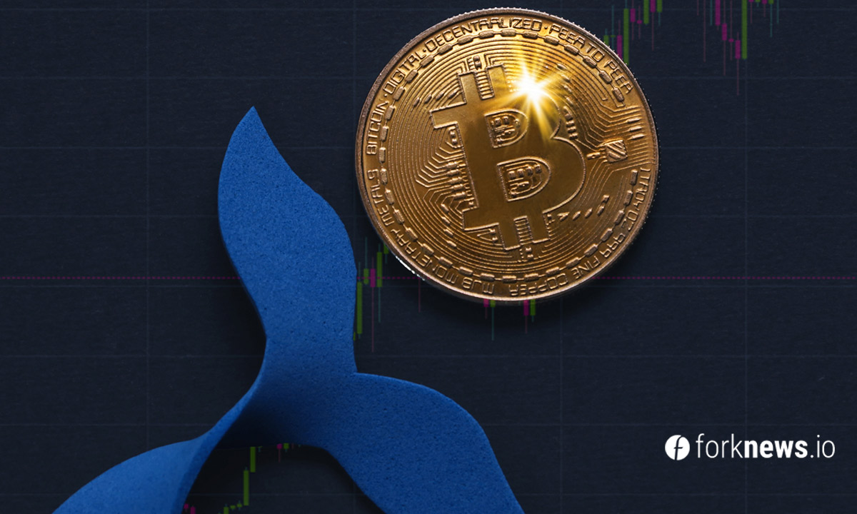 Третий по количеству биткоинов кит купил 596 BTC по курсу $63,000