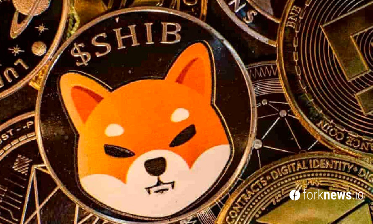 Shiba Inu разместила рекламу на Таймс-сквер 