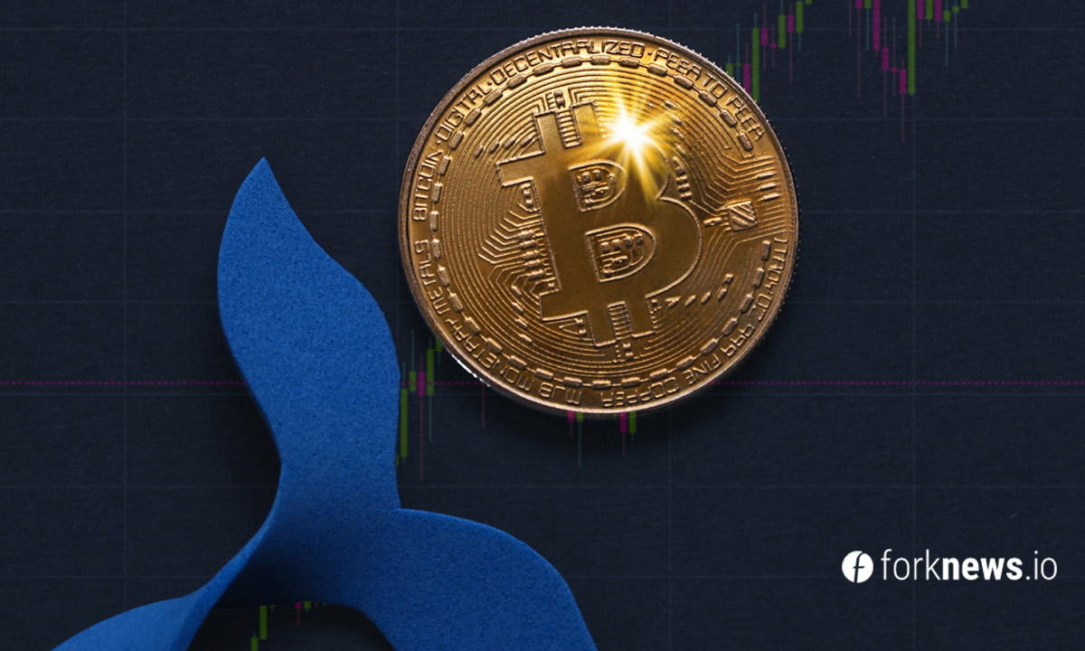 Биткоин-кит приобрел еще 456 ВТС